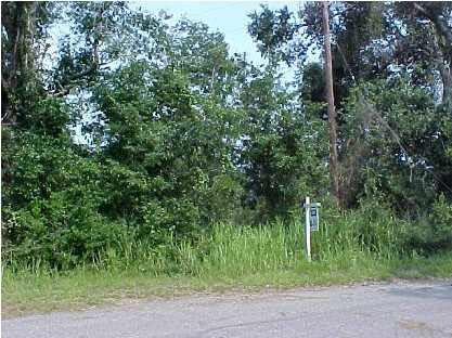 61-ac Parch Road Milton, FL 32583 - Photo 2 of 2 View from Street