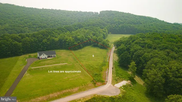 a view of a back yard