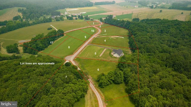 an aerial view of a house with a garden