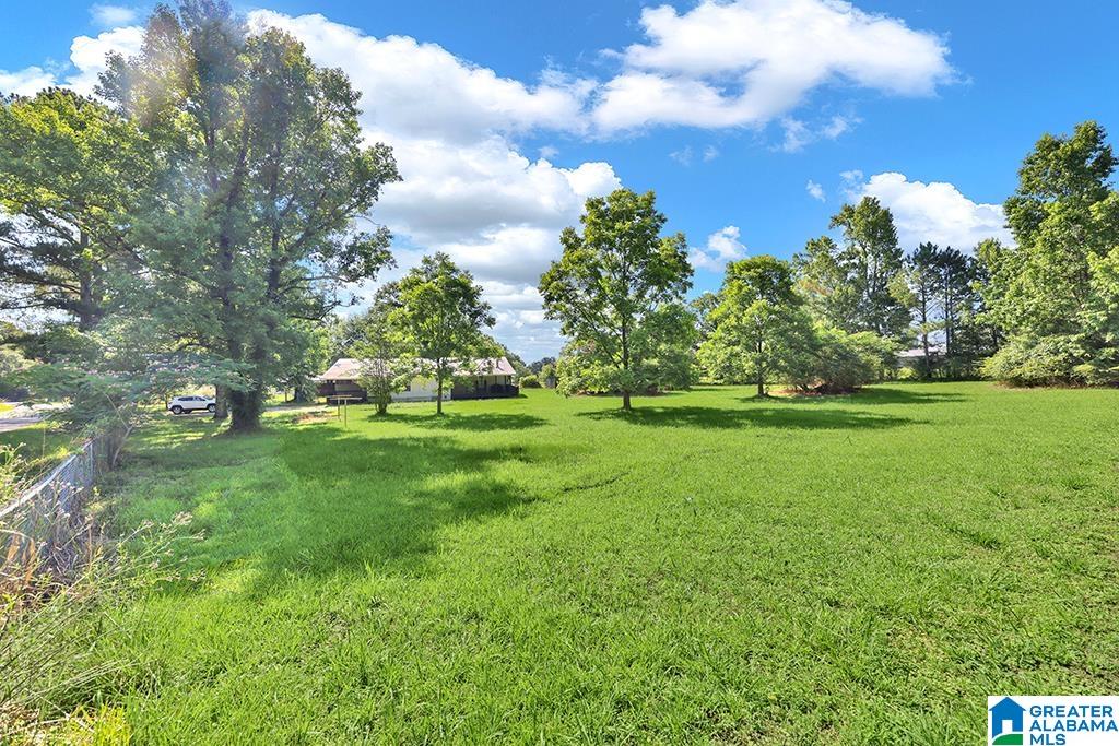 5965 Thornton Lake Road Dora, AL 35062 - Photo 26 of 29