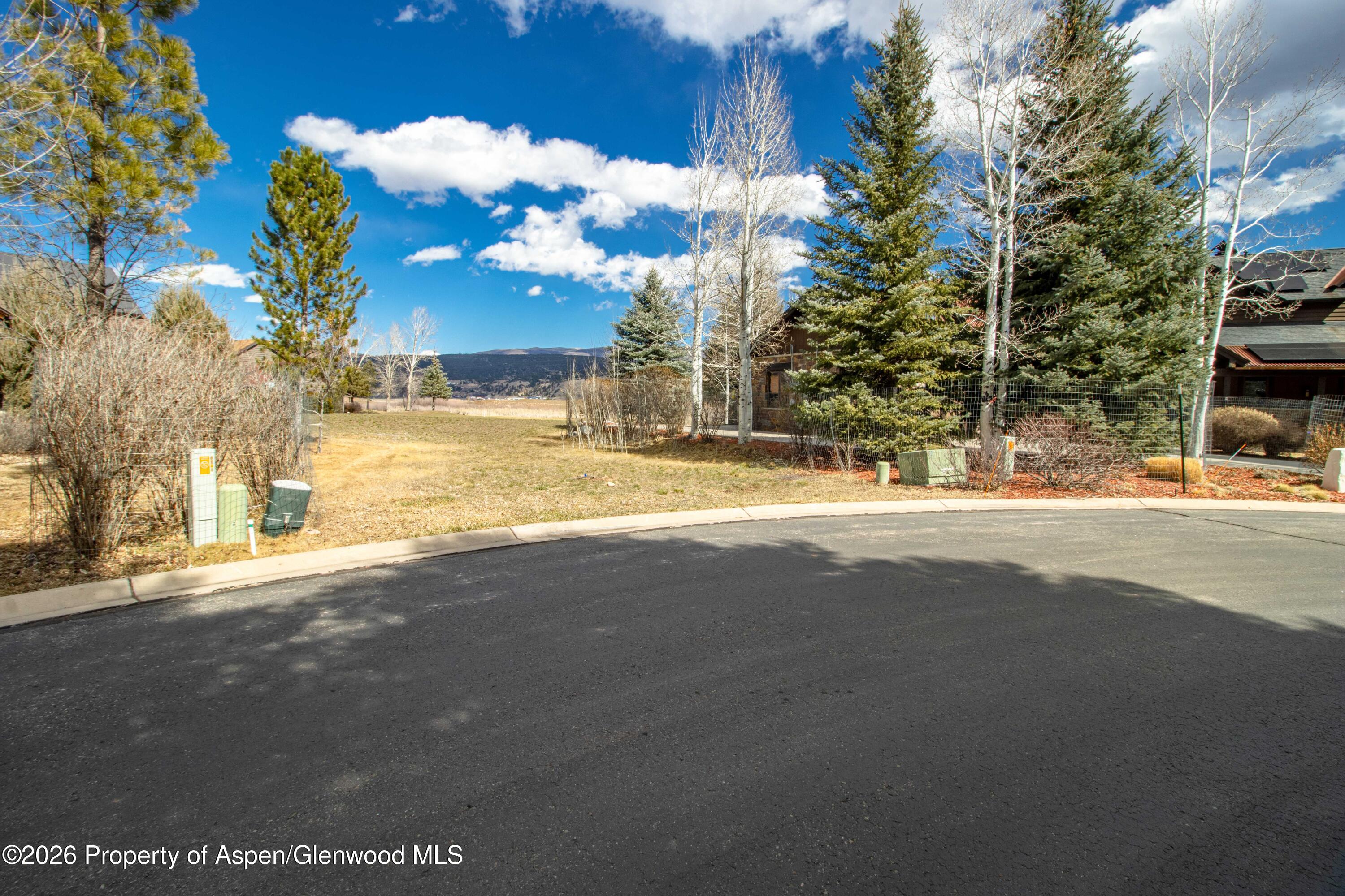 28 Spring Loop Carbondale, CO 81623 - Photo 3 of 22 1