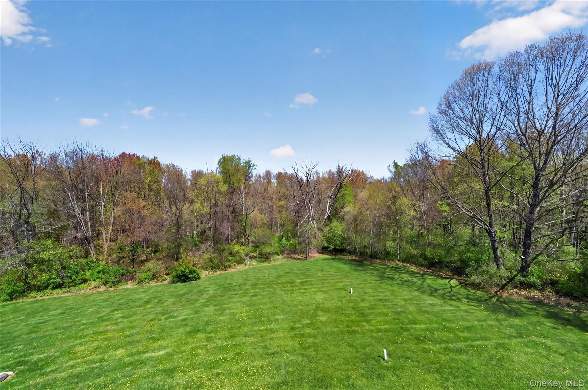 2 Primrose Lane Chester, NY 10918 - Photo 33 of 42 a view of a yard with a tree