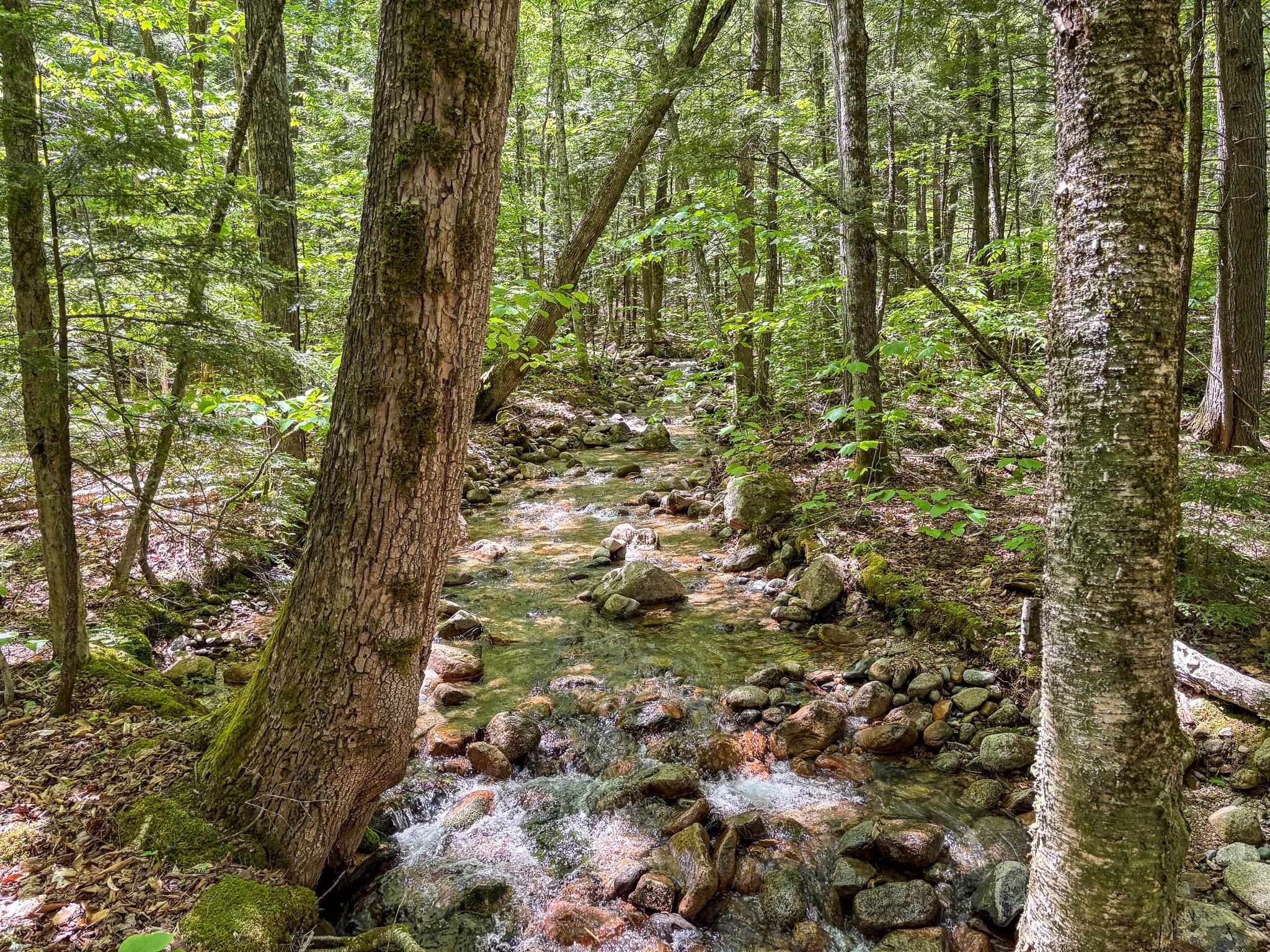 0 Rolling Ridge Road Bartlett, NH 03812 - Photo 4 of 6