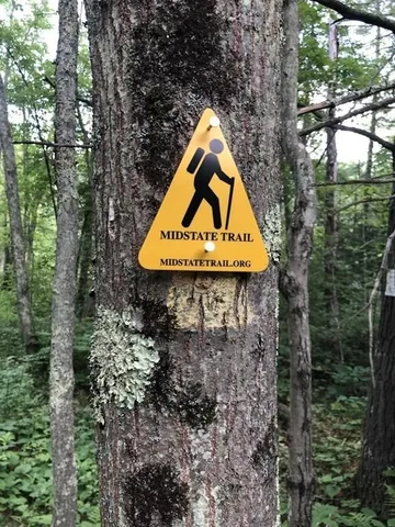 a aerial view of a house with swimming pool and large trees
