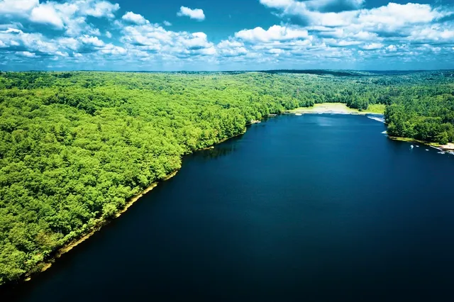 a view of a lake from a yard