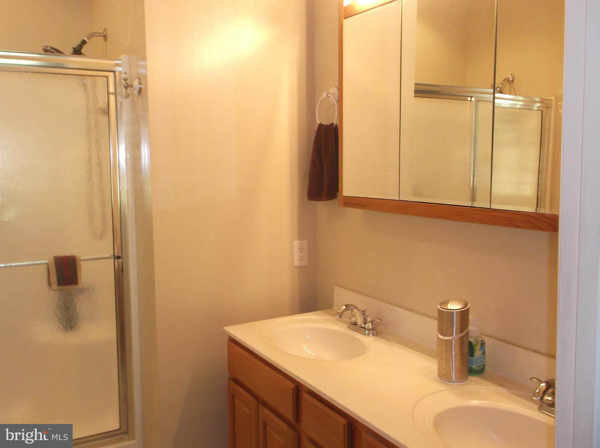 1144 John Rissler Road Charles Town, WV 25414 - Photo 14 of 30 Bath (Master)