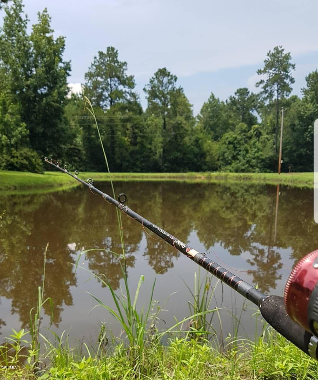 13 Will Thompson Road Picayune, MS 39466 - Photo 2 of 40 E806720A-F71B-4050-A69E-223EBAA89573