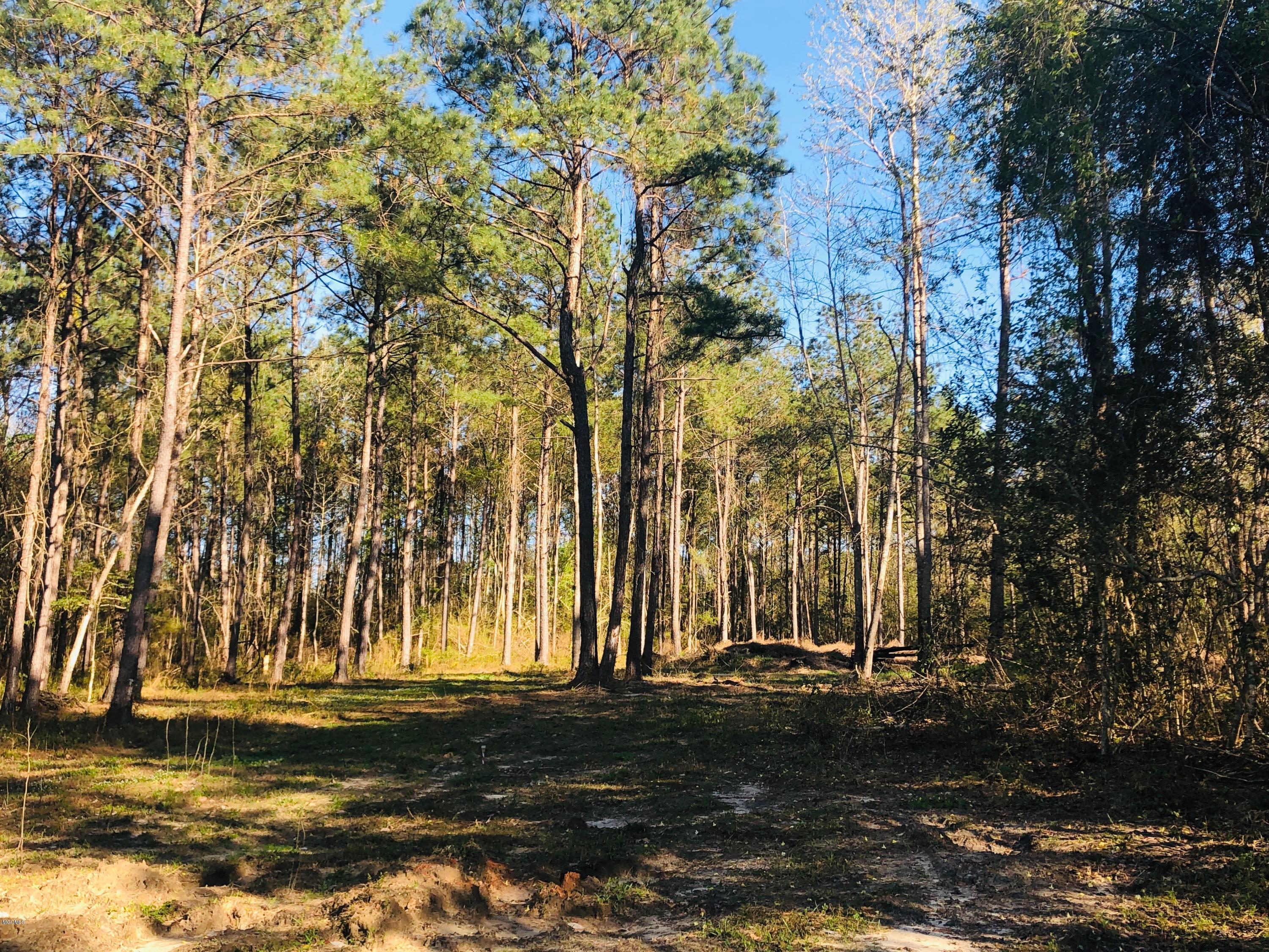 13 Will Thompson Road Picayune, MS 39466 - Photo 6 of 40 13WT29