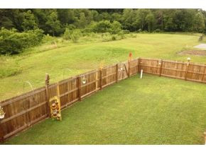 411 South Austin Springs Road Johnson City, TN 37601 - Photo 13 of 24 Great Yard