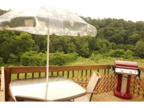 411 South Austin Springs Road Johnson City, TN 37601 - Photo 9 of 24 Outside Dining