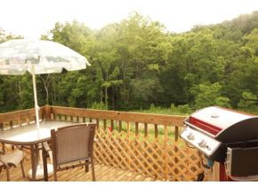 411 South Austin Springs Road Johnson City, TN 37601 - Photo 10 of 24 Private