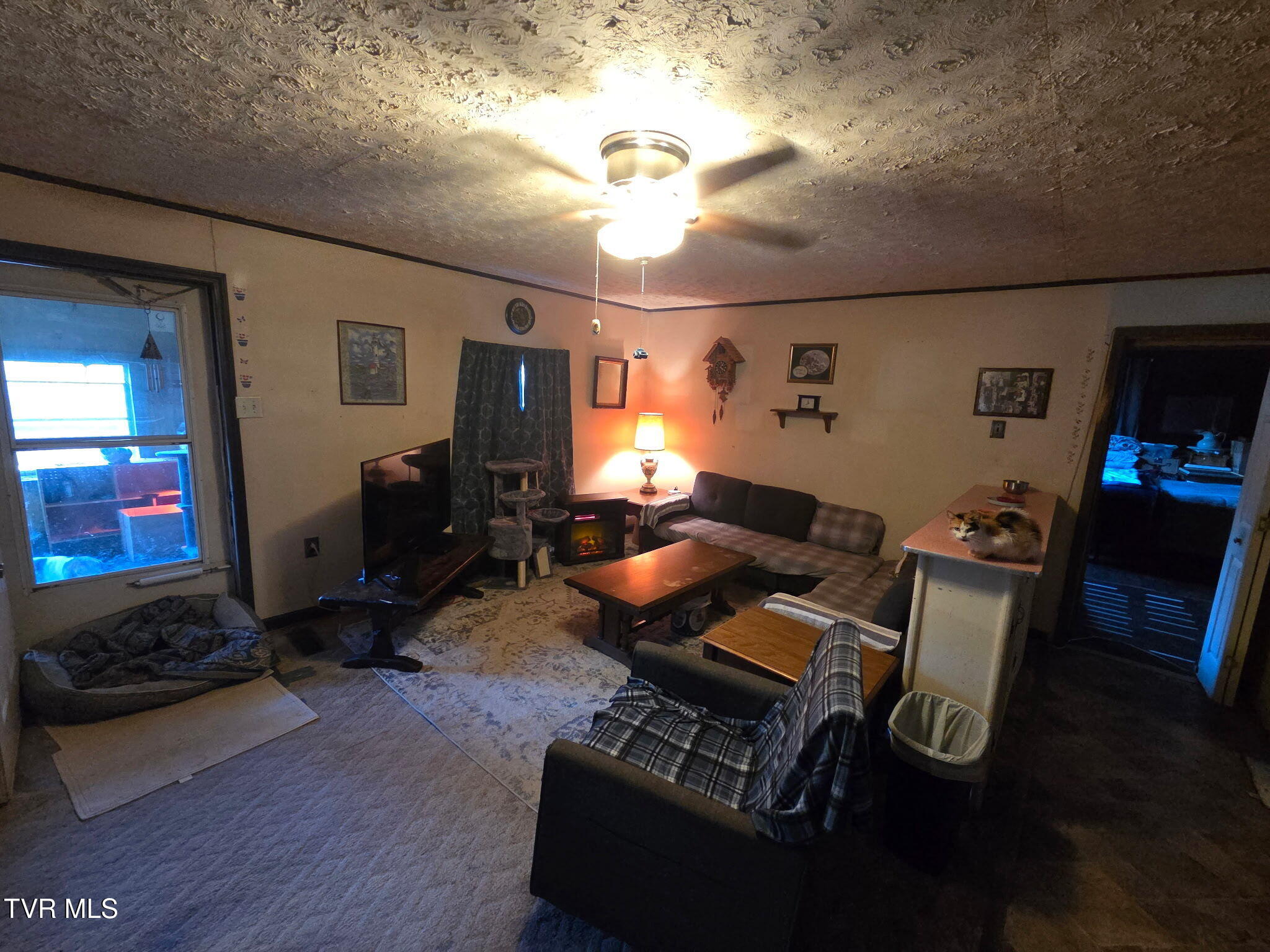 424 Buzzard Roost Road Bulls Gap, TN 37711 - Photo 17 of 25 IMG_20260120_174452