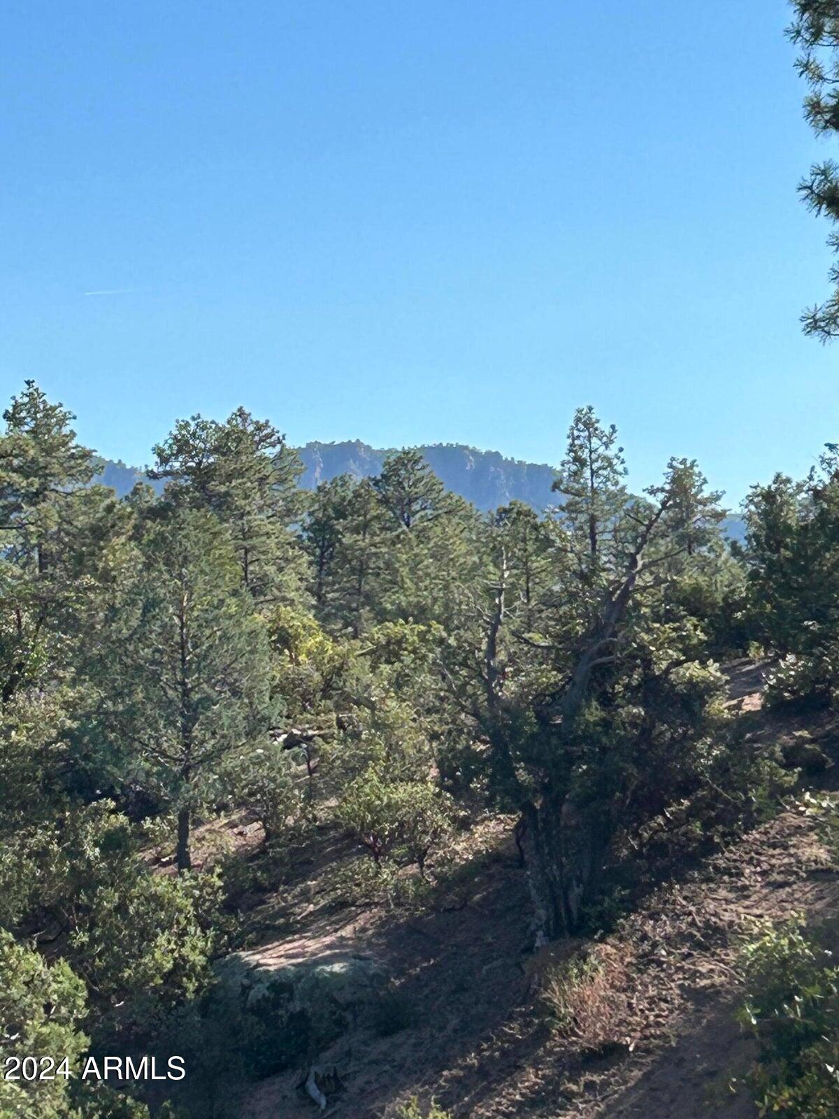 3100 East Pleasant Valley, Unit 244 Payson, AZ 85541 - Photo 4 of 5 53