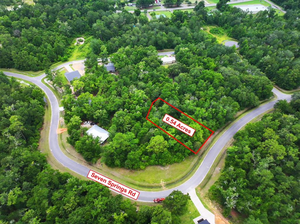229 Seven Spgs Road Wewahitchka, FL 32465 - Photo 8 of 13