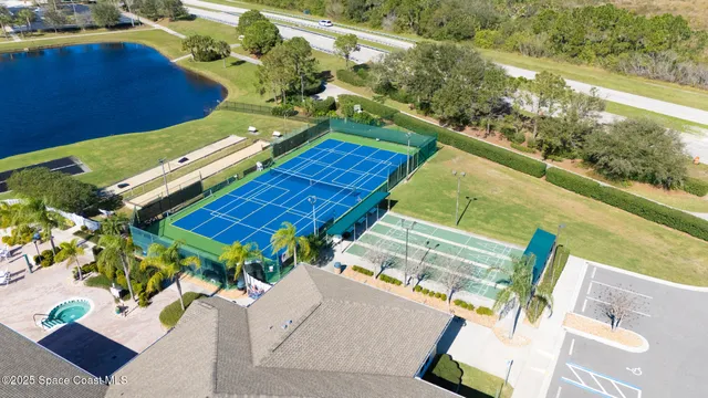 a view of a tennis ground with a large tree