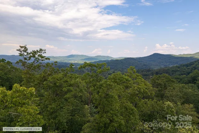 a view of a mountain range with lush green forest