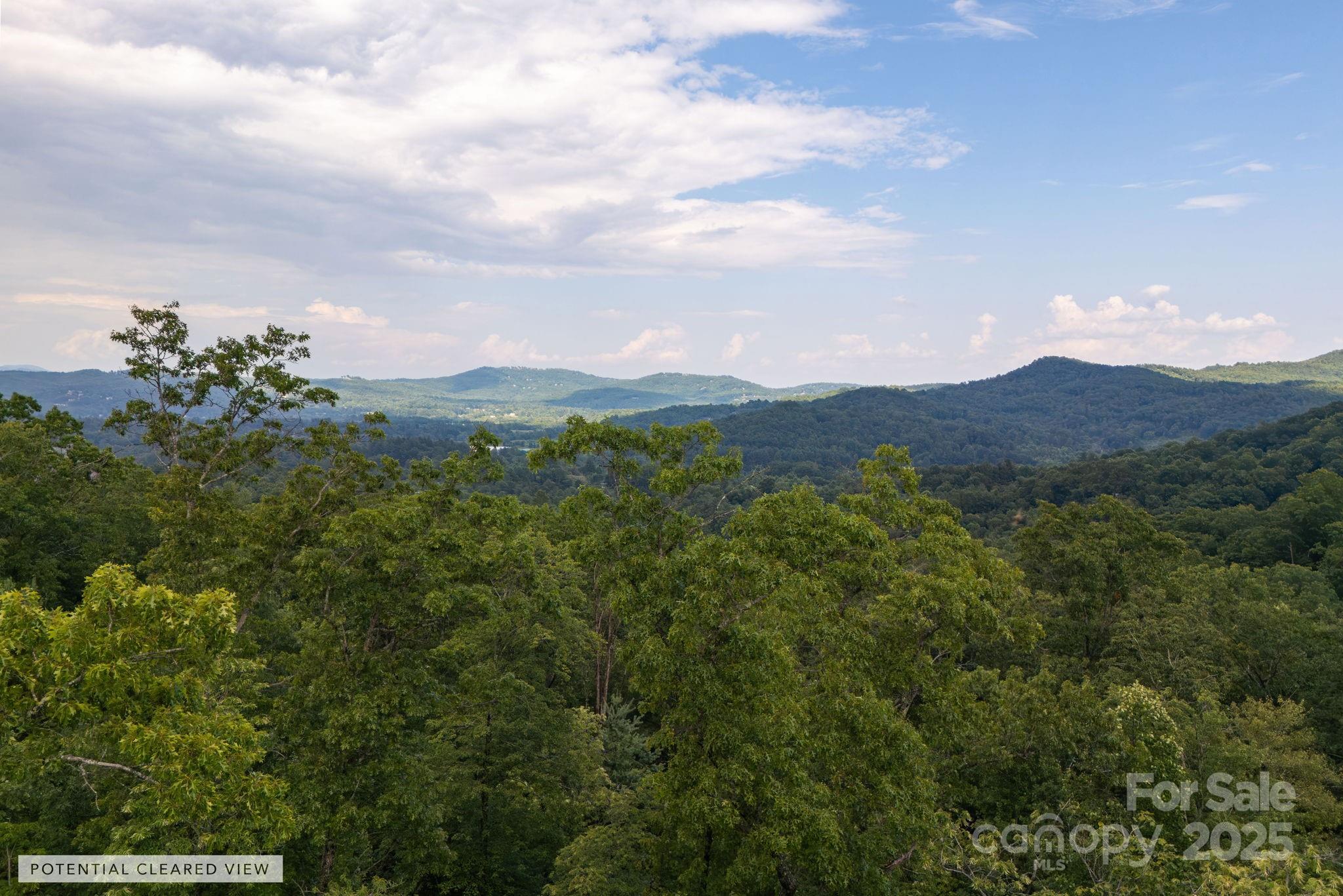 a view of a mountain range with lush green forest