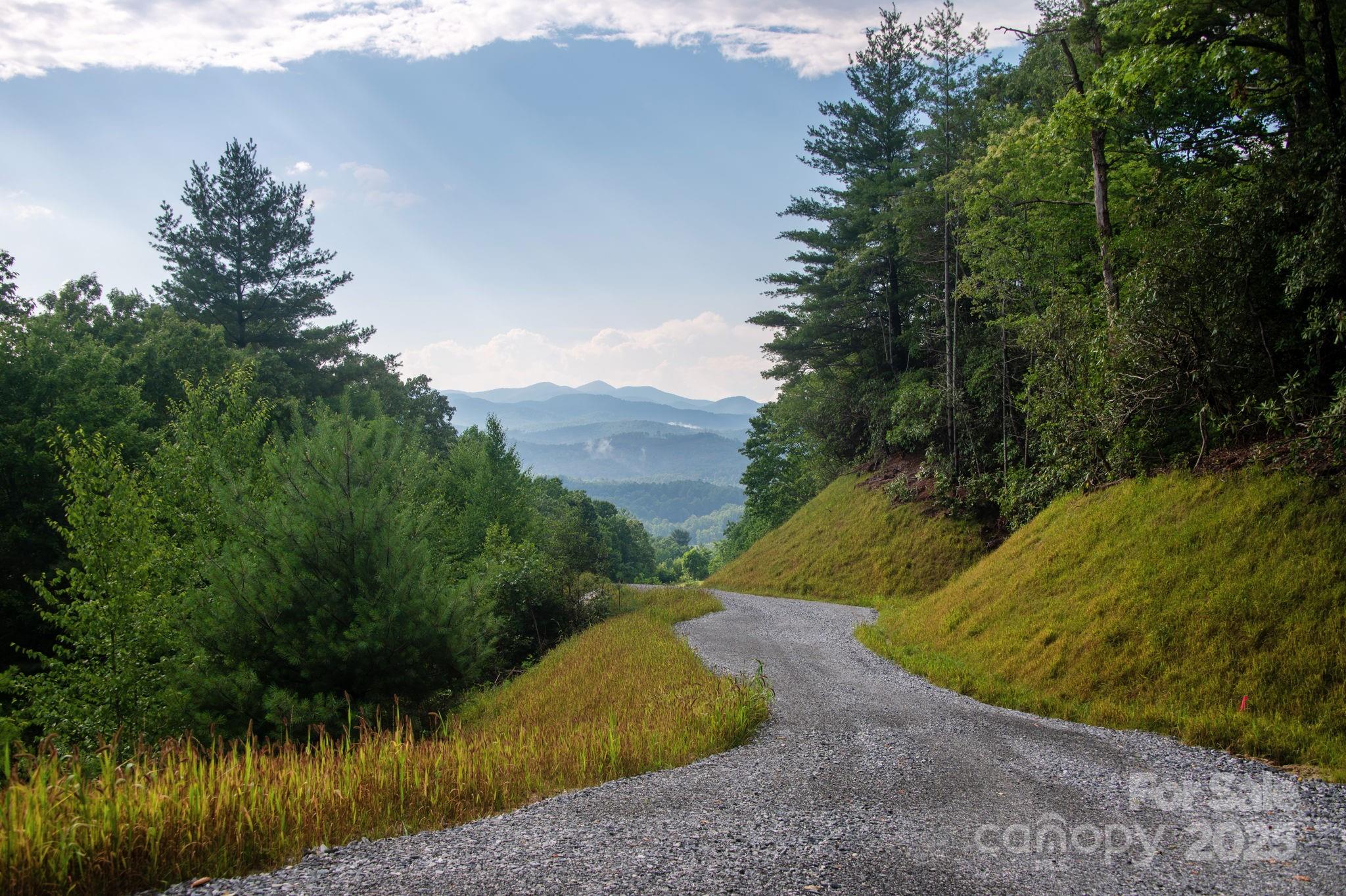 Lot # Masterpiece View Drive, Unit 5 Hendersonville, NC 28739 - Photo 11 of 30 a view of outdoor space and yard