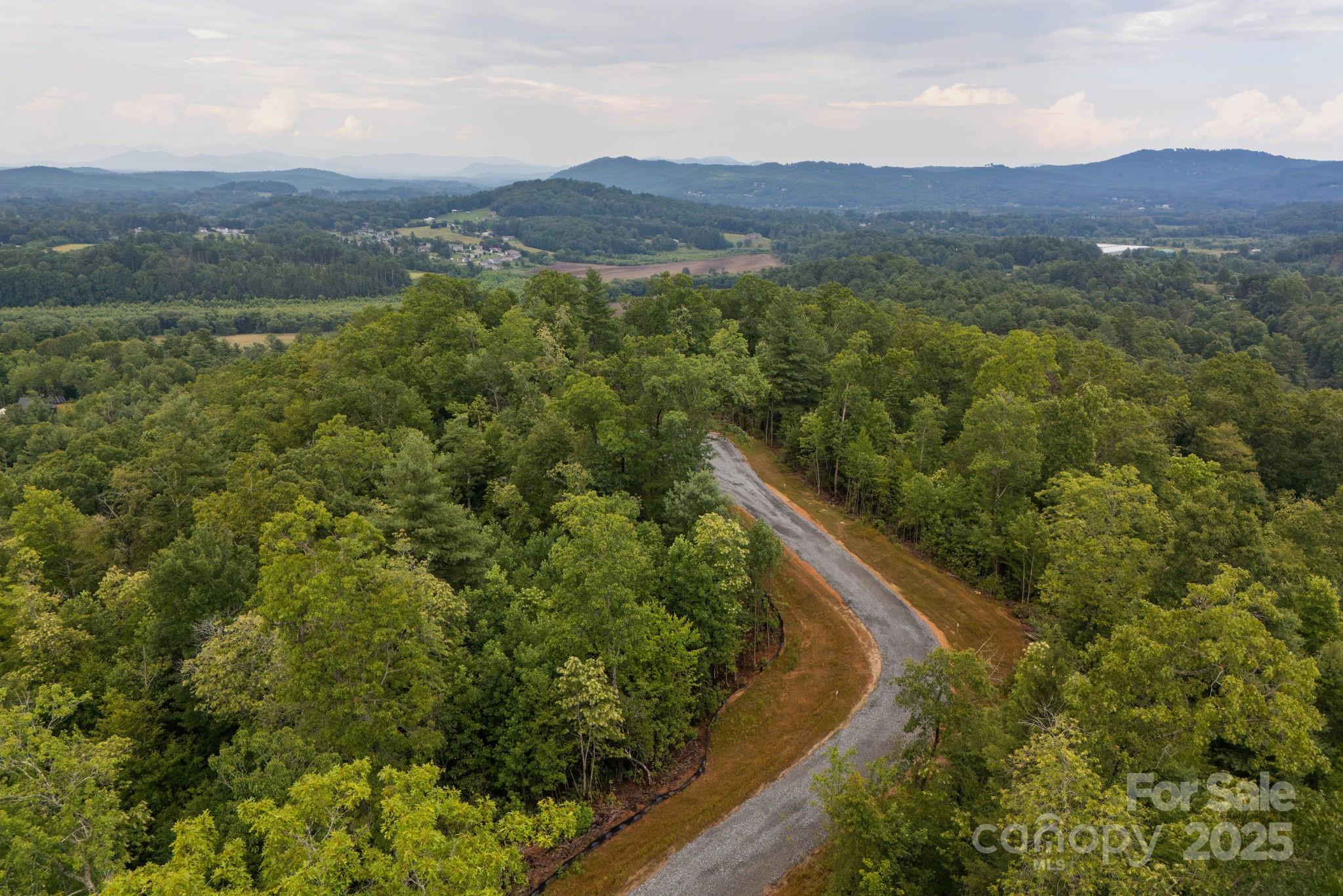 Lot # Masterpiece View Drive, Unit 5 Hendersonville, NC 28739 - Photo 13 of 30 a view of a lush green hillside and houses
