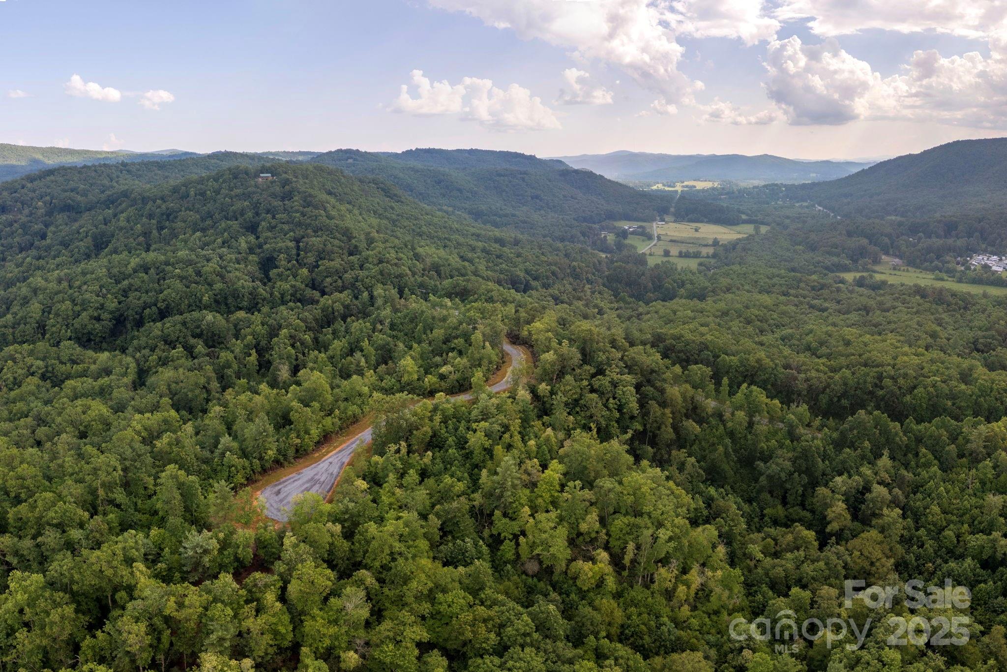 Lot # Masterpiece View Drive, Unit 5 Hendersonville, NC 28739 - Photo 14 of 30 a view of a mountain range with lush green forest