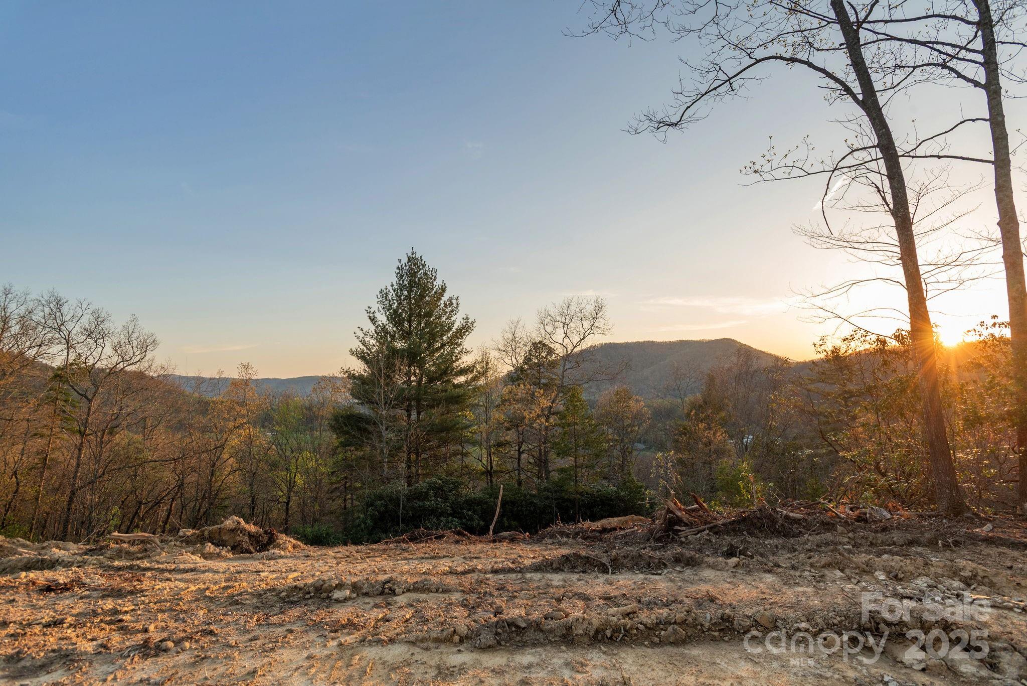 Lot # Masterpiece View Drive, Unit 5 Hendersonville, NC 28739 - Photo 20 of 30 a view of mountain covered with snow