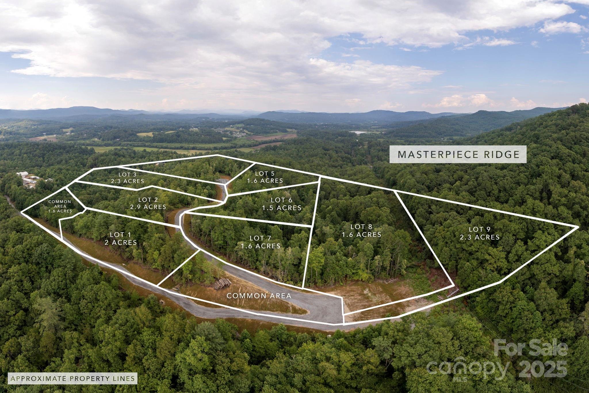 Lot # Masterpiece View Drive, Unit 5 Hendersonville, NC 28739 - Photo 2 of 30 a view of a balcony