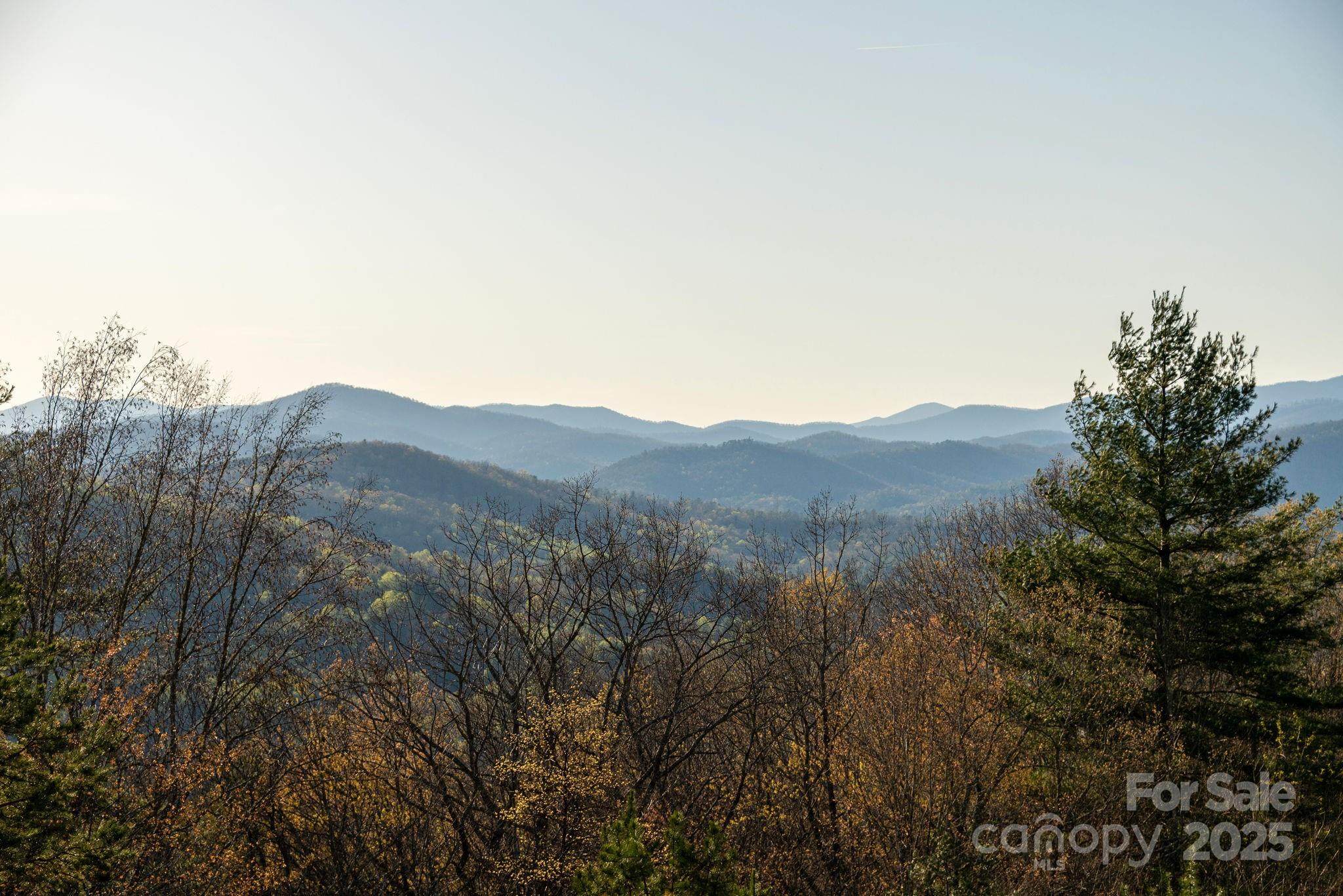 Lot # Masterpiece View Drive, Unit 5 Hendersonville, NC 28739 - Photo 22 of 30 a view of a house with a mountain