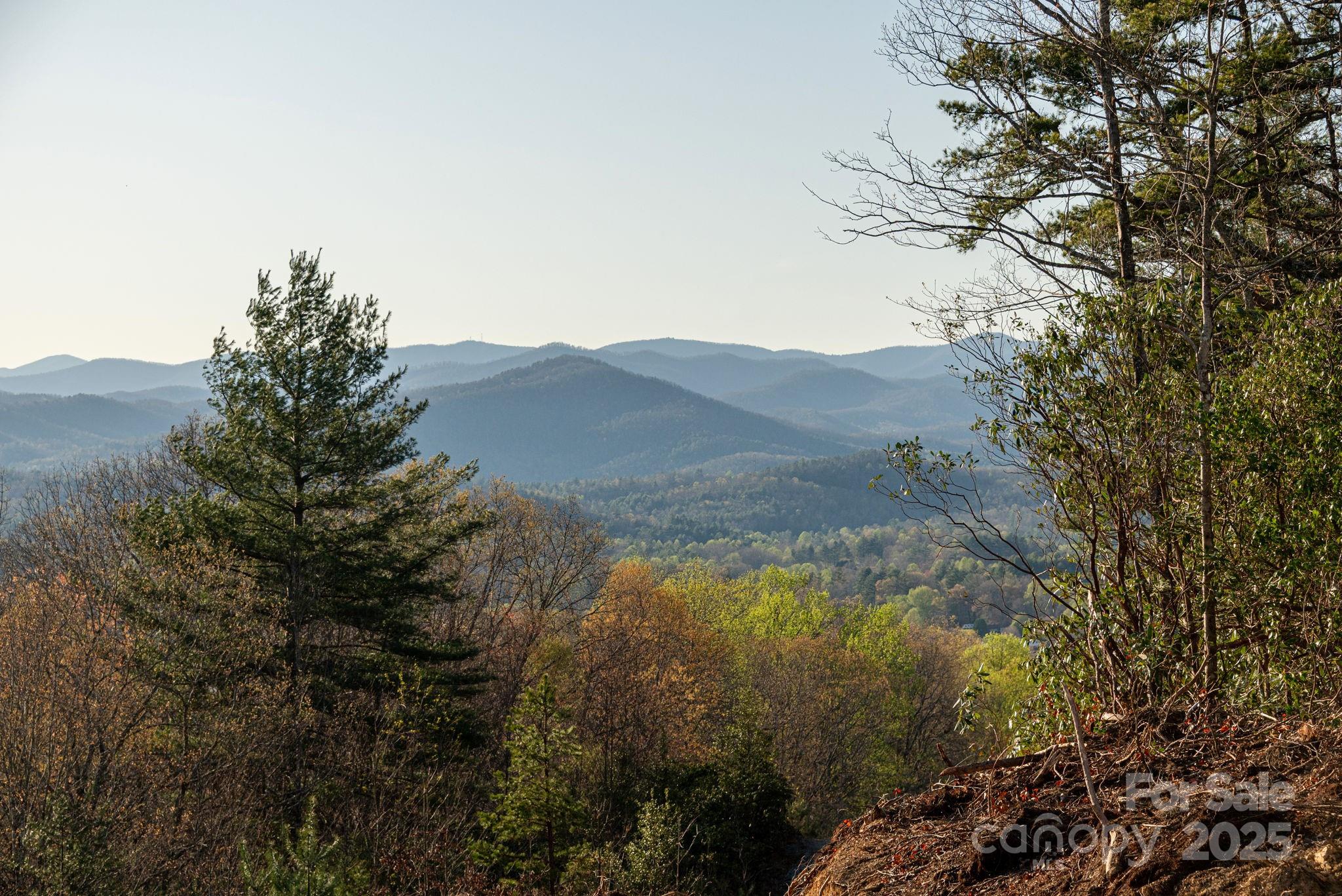 Lot # Masterpiece View Drive, Unit 5 Hendersonville, NC 28739 - Photo 23 of 30 a view of mountains and valleys