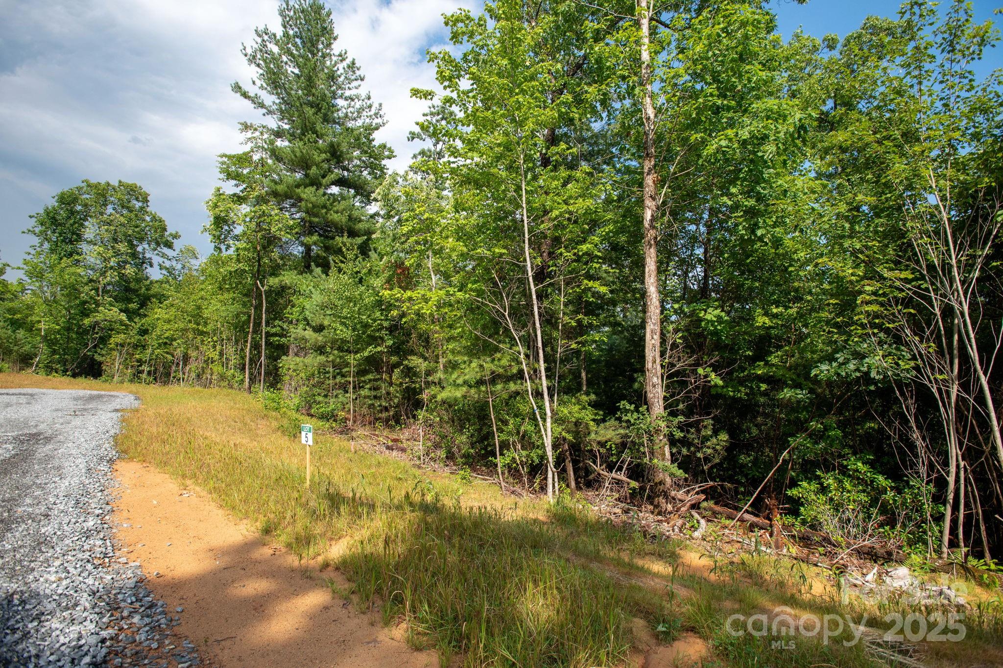 Lot # Masterpiece View Drive, Unit 5 Hendersonville, NC 28739 - Photo 3 of 30 a view of yard with green space