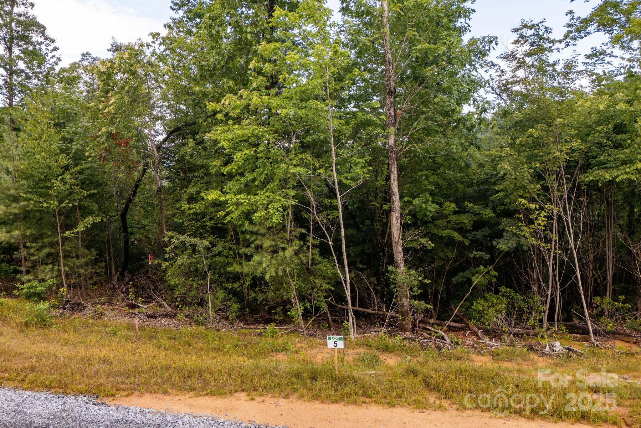 Lot # Masterpiece View Drive, Unit 5 Hendersonville, NC 28739 - Photo 4 of 30 a view of a yard with plants and large trees