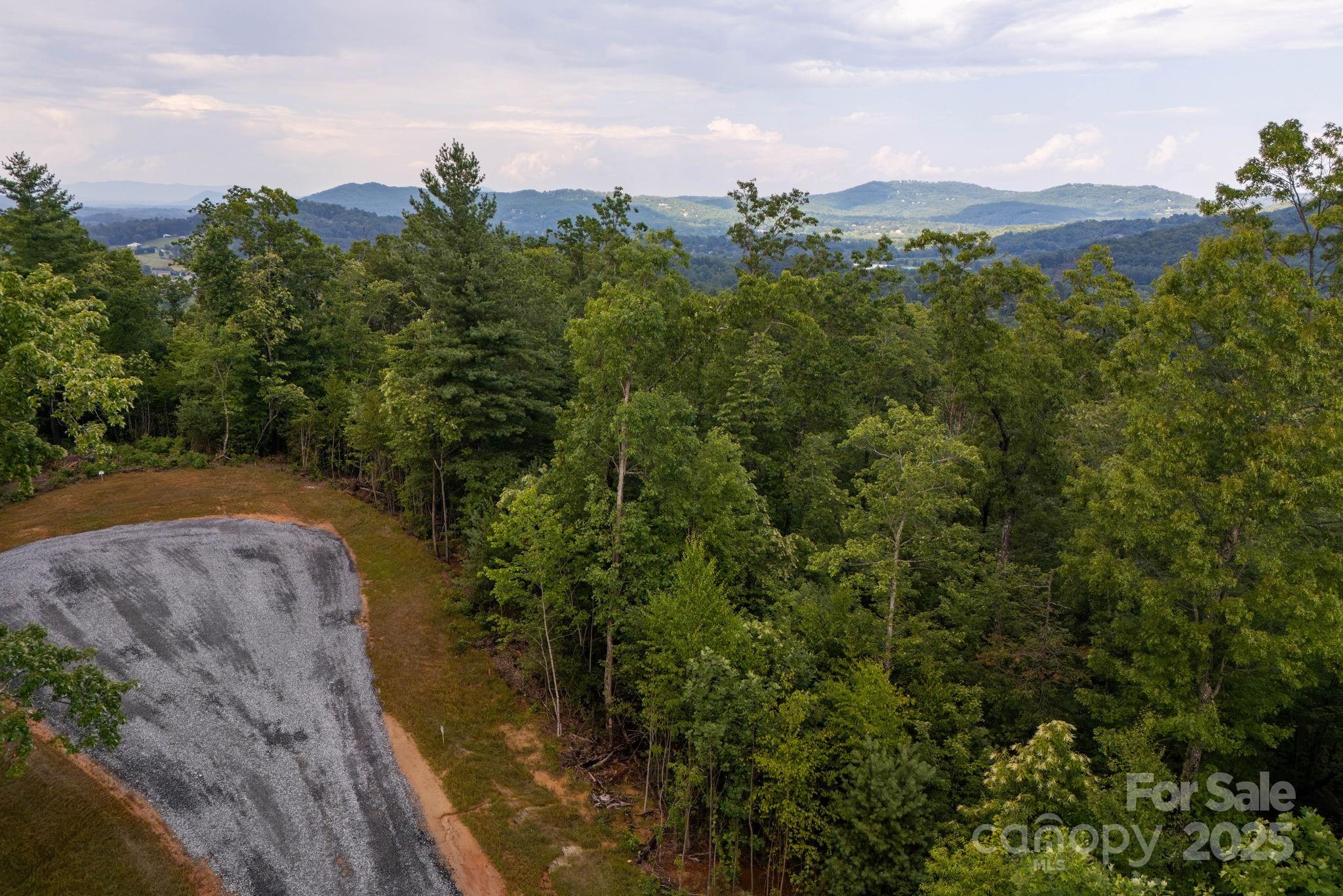 Lot # Masterpiece View Drive, Unit 5 Hendersonville, NC 28739 - Photo 5 of 30 a view of a yard with a trees