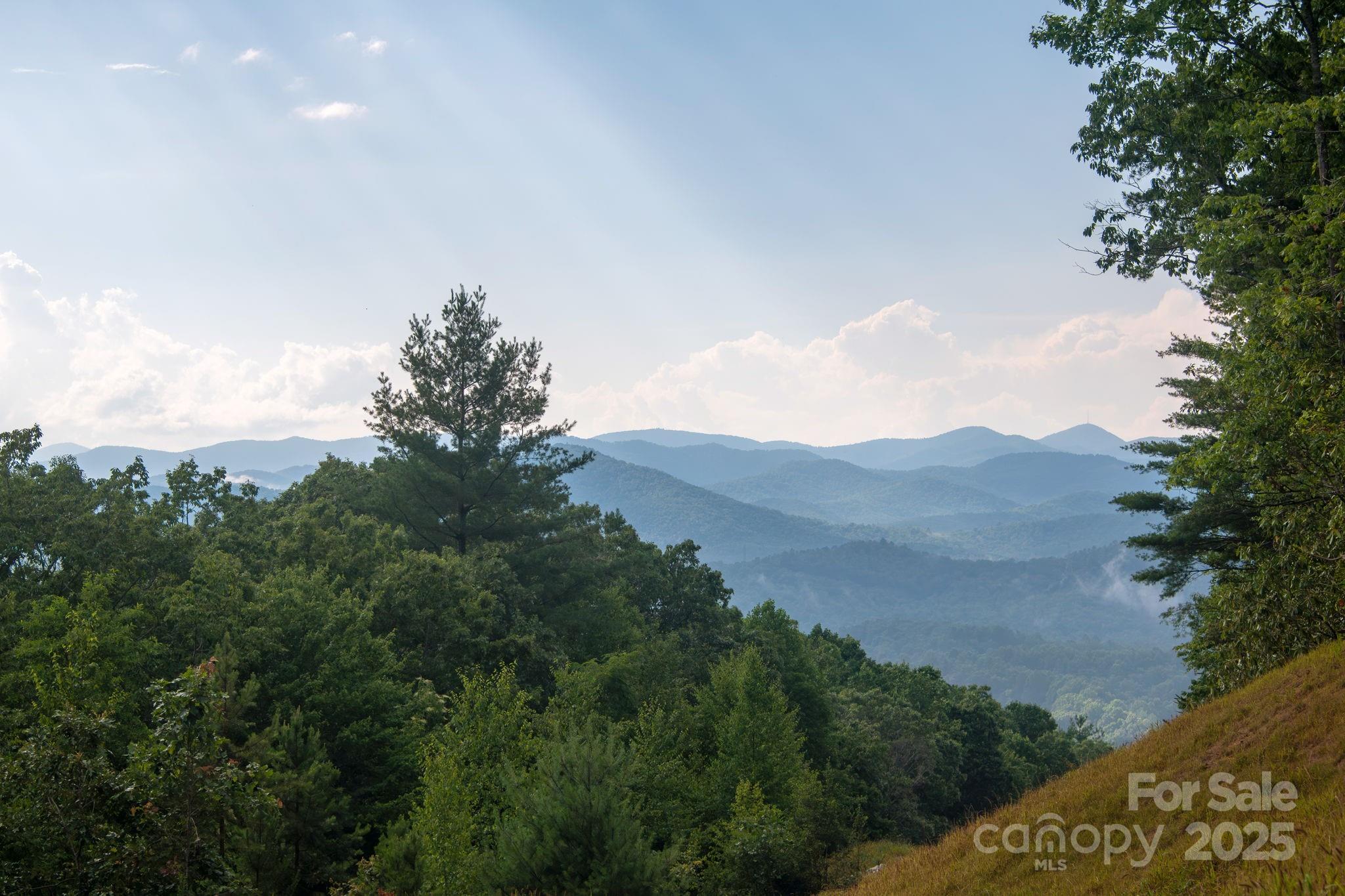 Lot # Masterpiece View Drive, Unit 5 Hendersonville, NC 28739 - Photo 9 of 30 a view of a bunch of trees in a field