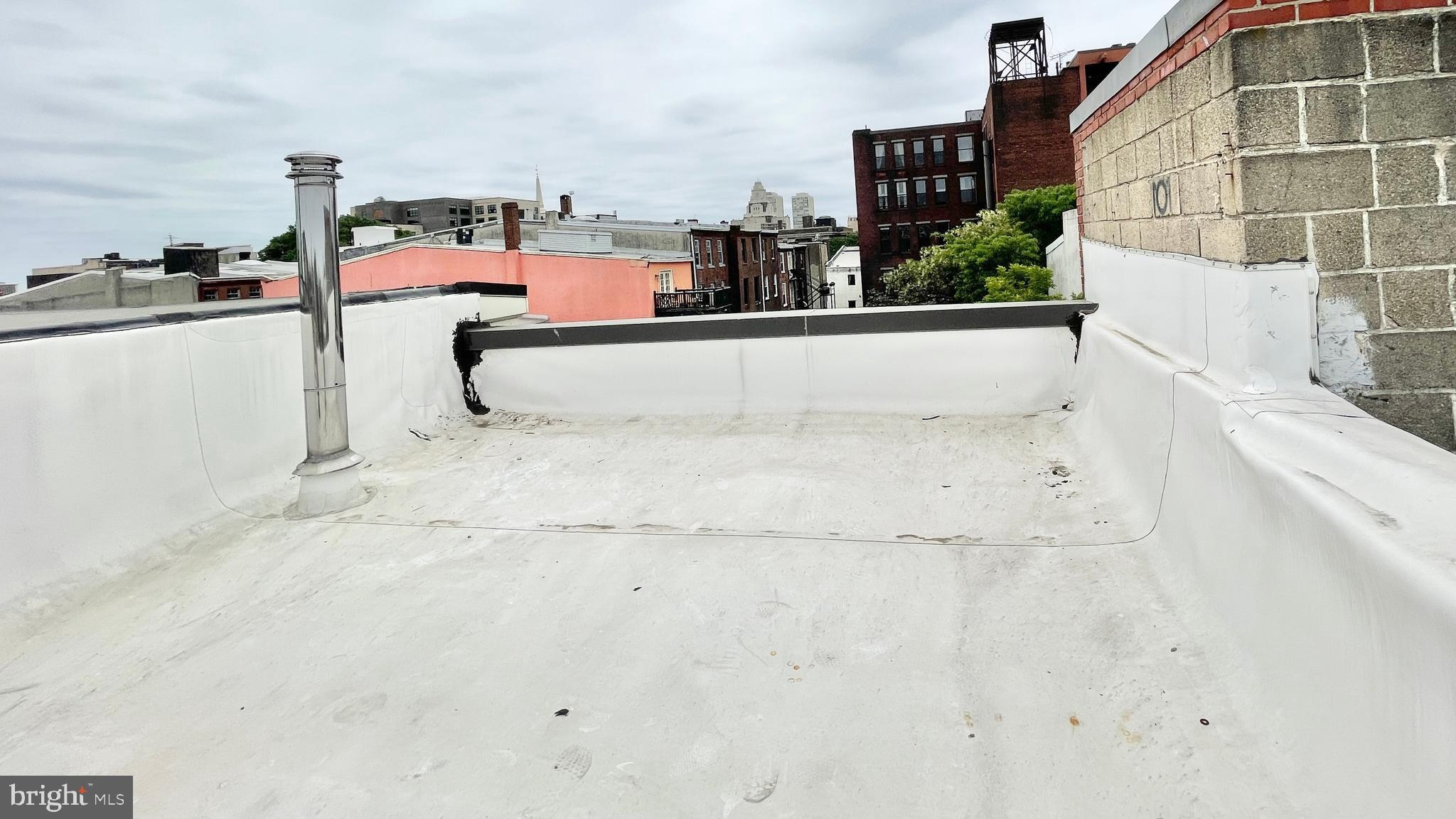 305 Cherry Street Philadelphia, PA 19106 - Photo 56 of 58 Roof