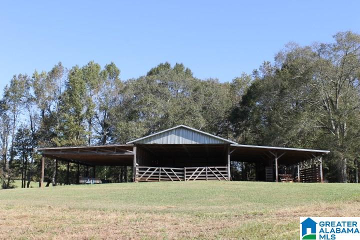 3258 Youngs Mill Road Lineville, AL 36266 - Photo 26 of 50