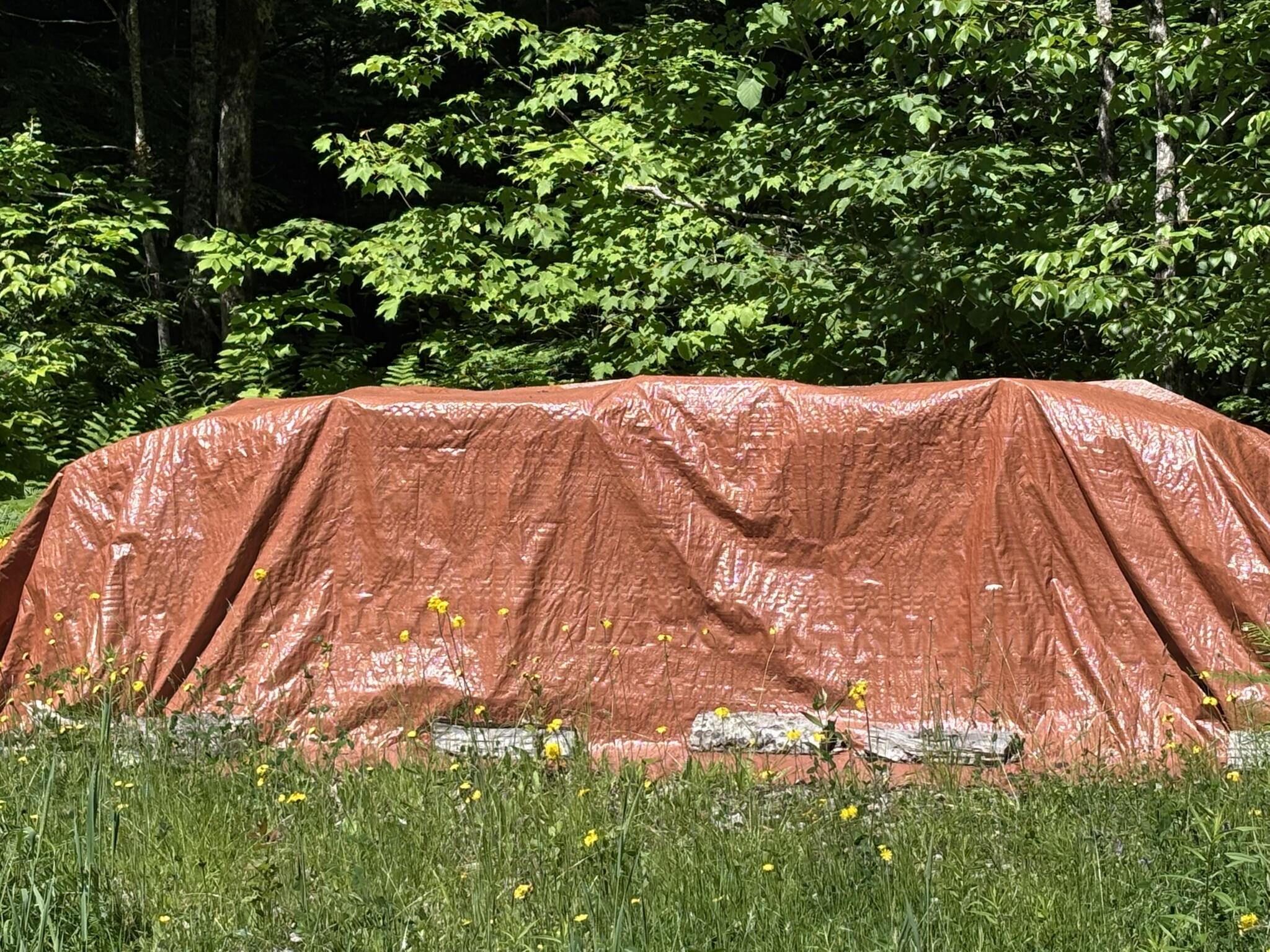 544 Lakeview Road Milo, ME 04463 - Photo 16 of 20 IMG_8833-SEASONED WOOD