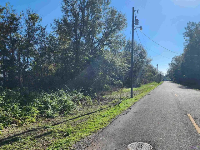 $300,000 | 106 Rondinaud Road, Donaldsonville, LA 70346