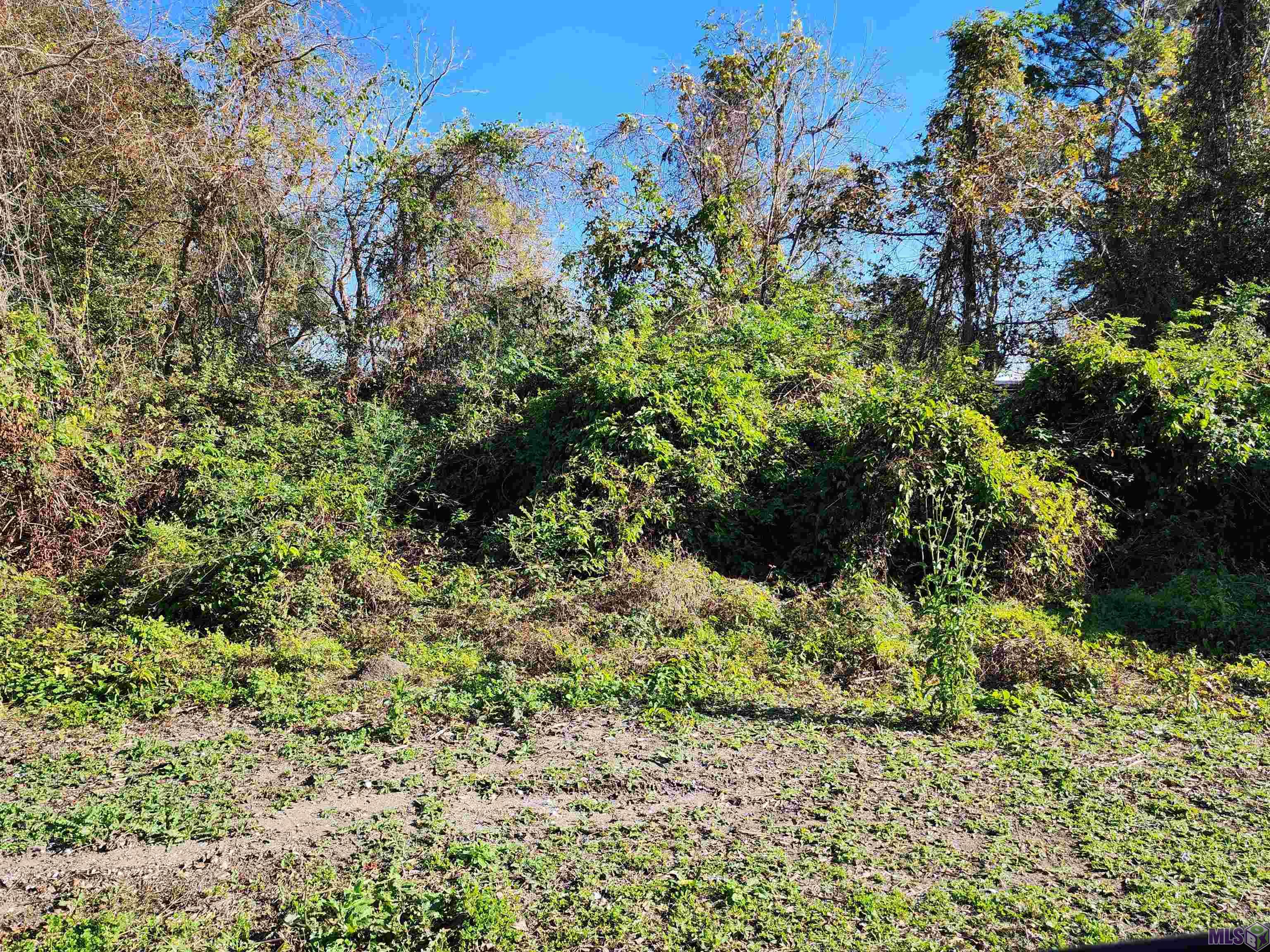 106 Rondinaud Road Donaldsonville, LA 70346 - Photo 13 of 14