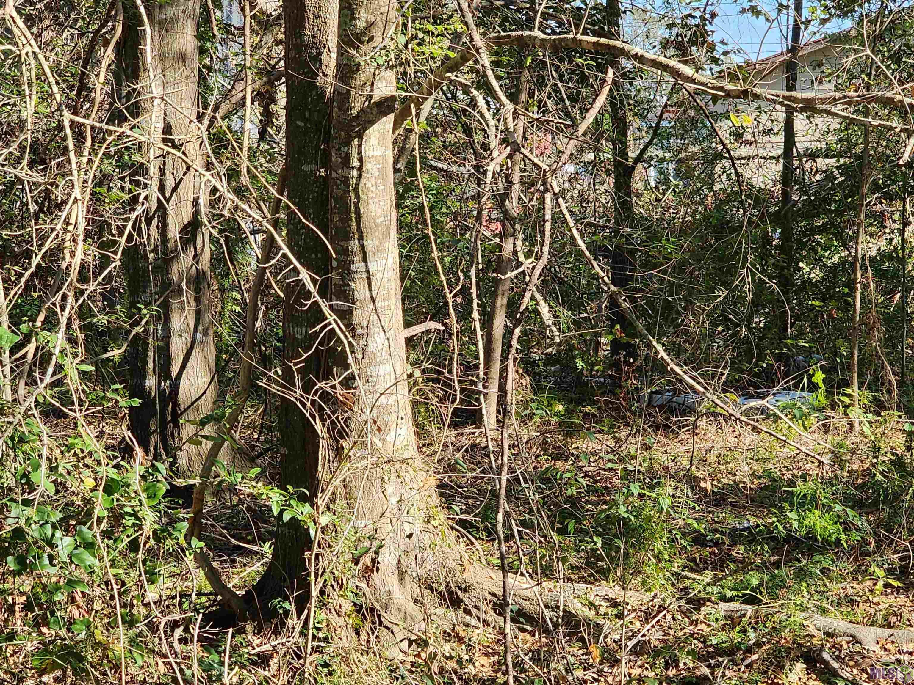 106 Rondinaud Road Donaldsonville, LA 70346 - Photo 14 of 14