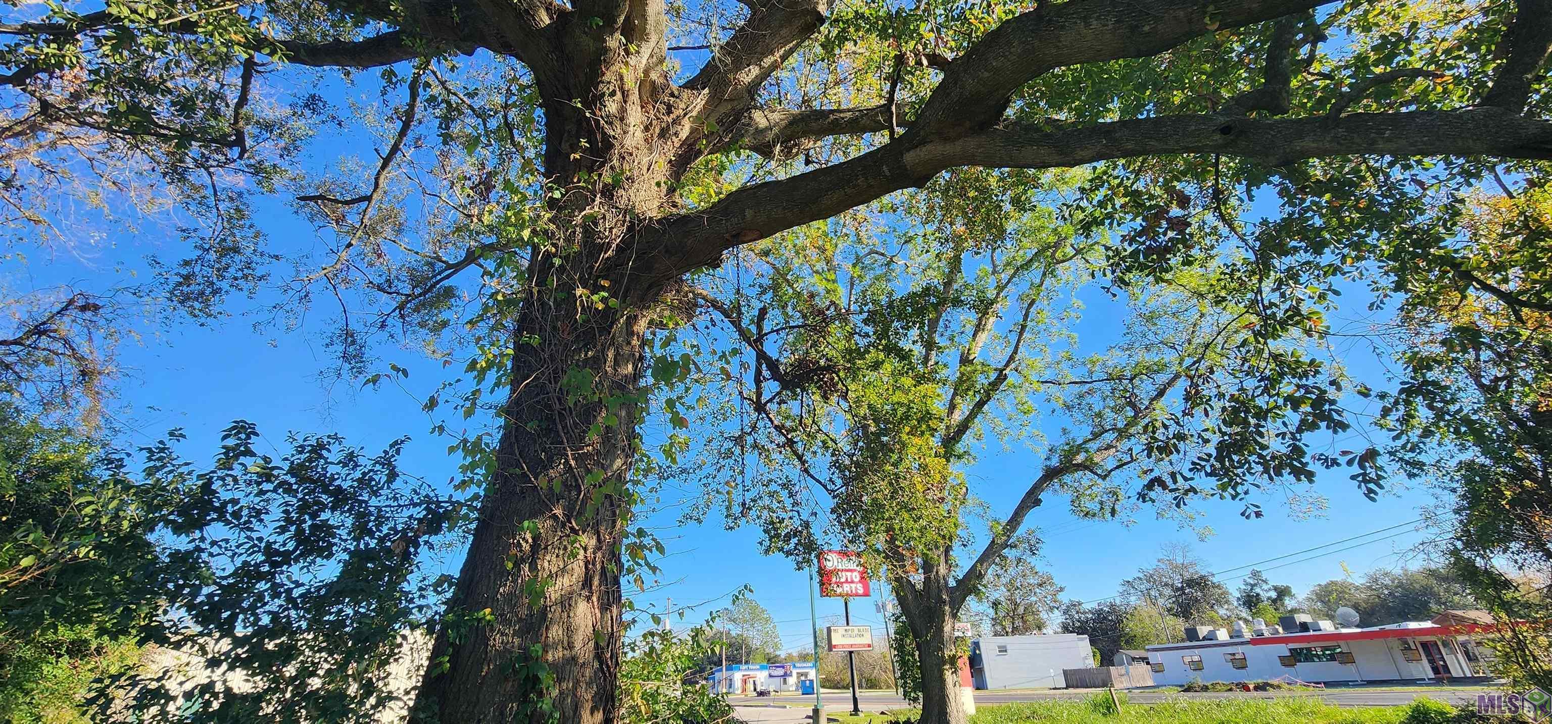 106 Rondinaud Road Donaldsonville, LA 70346 - Photo 6 of 14