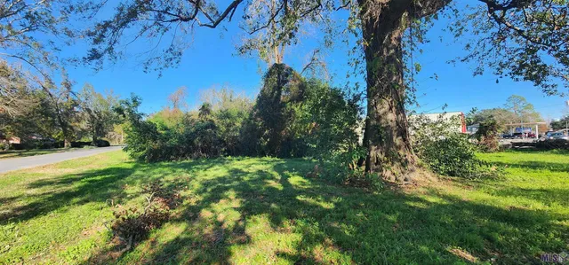 $300,000 | 106 Rondinaud Road, Donaldsonville, LA 70346