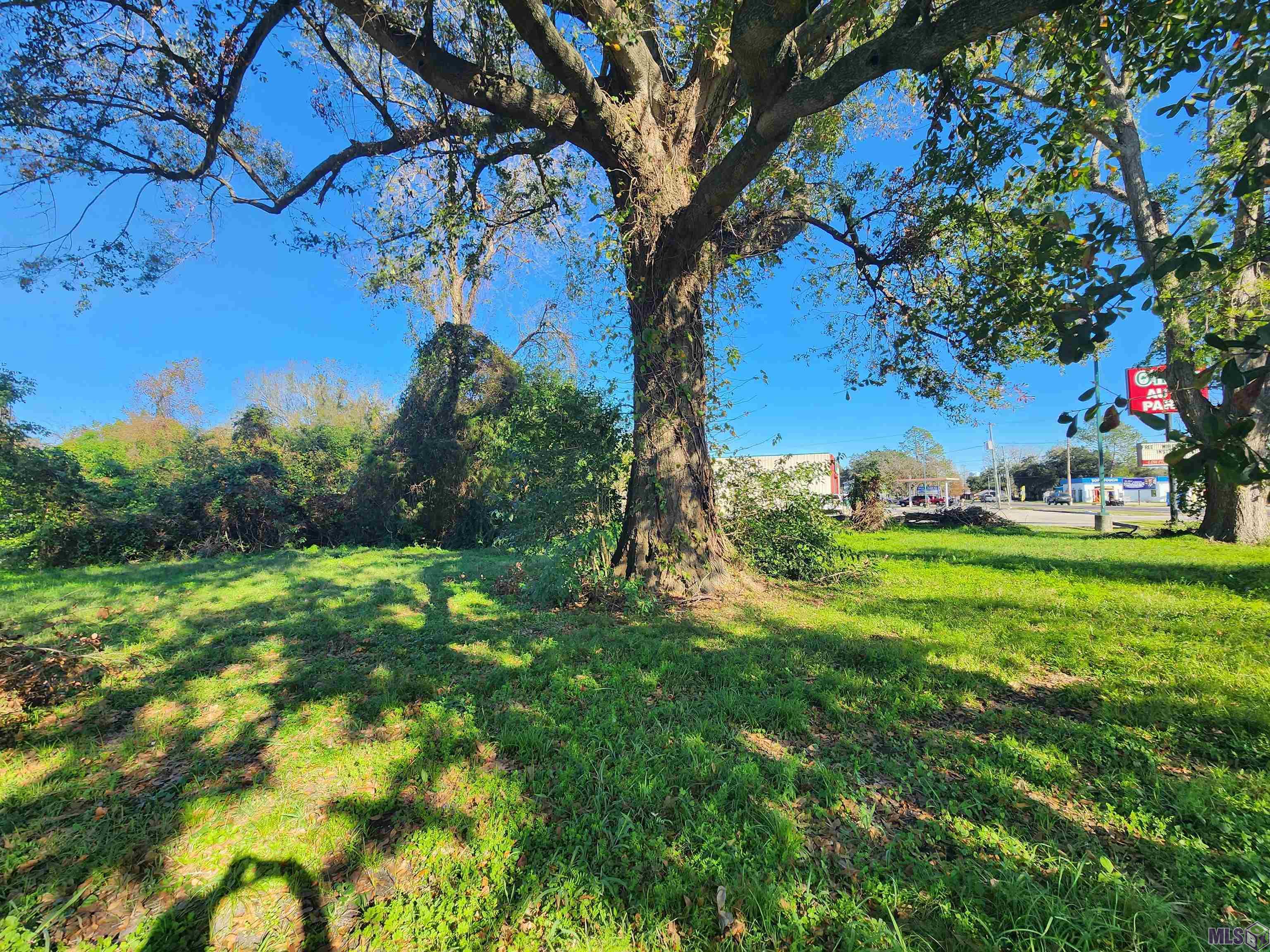 106 Rondinaud Road Donaldsonville, LA 70346 - Photo 10 of 14