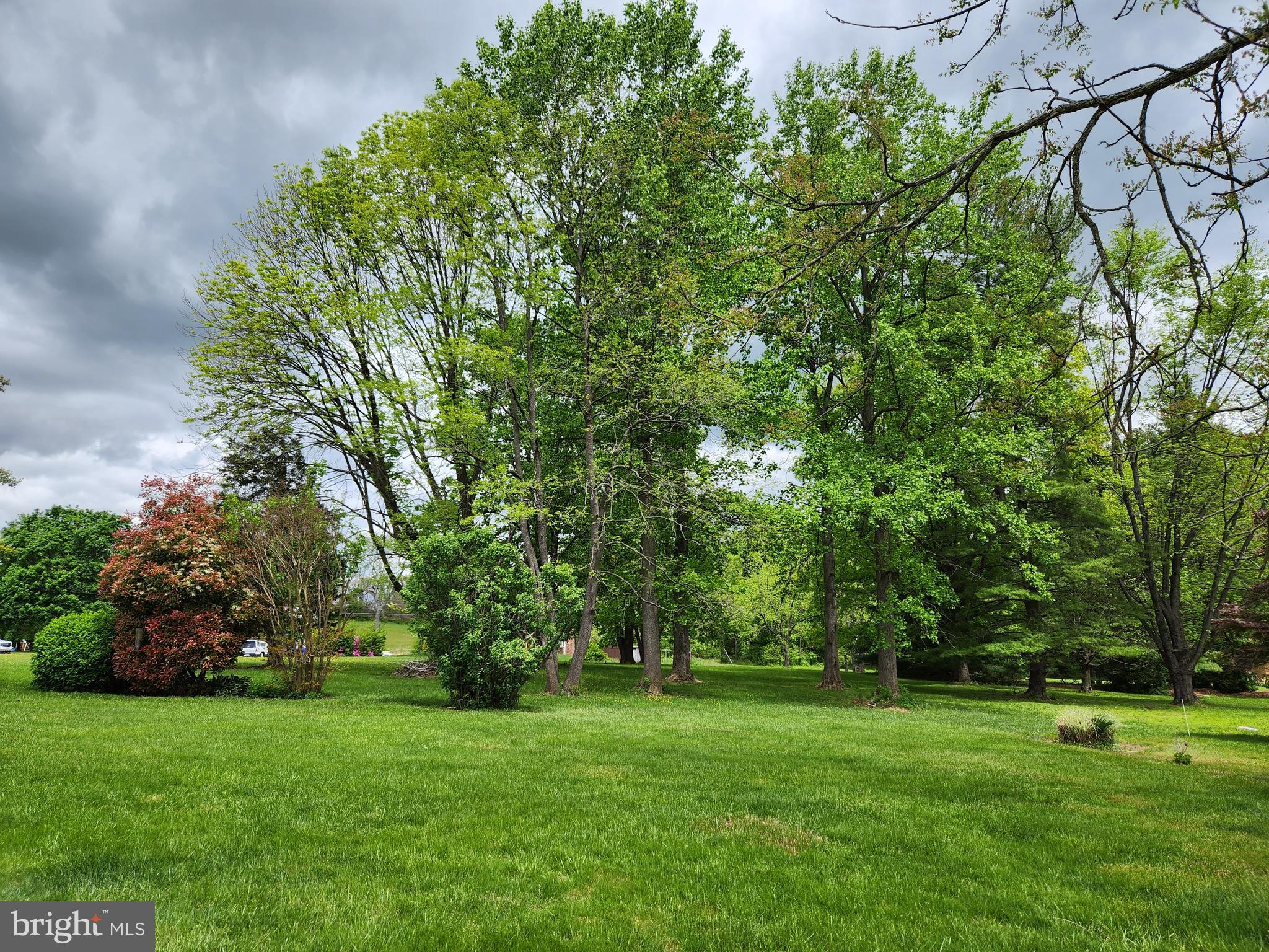 2015 Robertson Road Bel Air, MD 21015 - Photo 51 of 64 Level yard