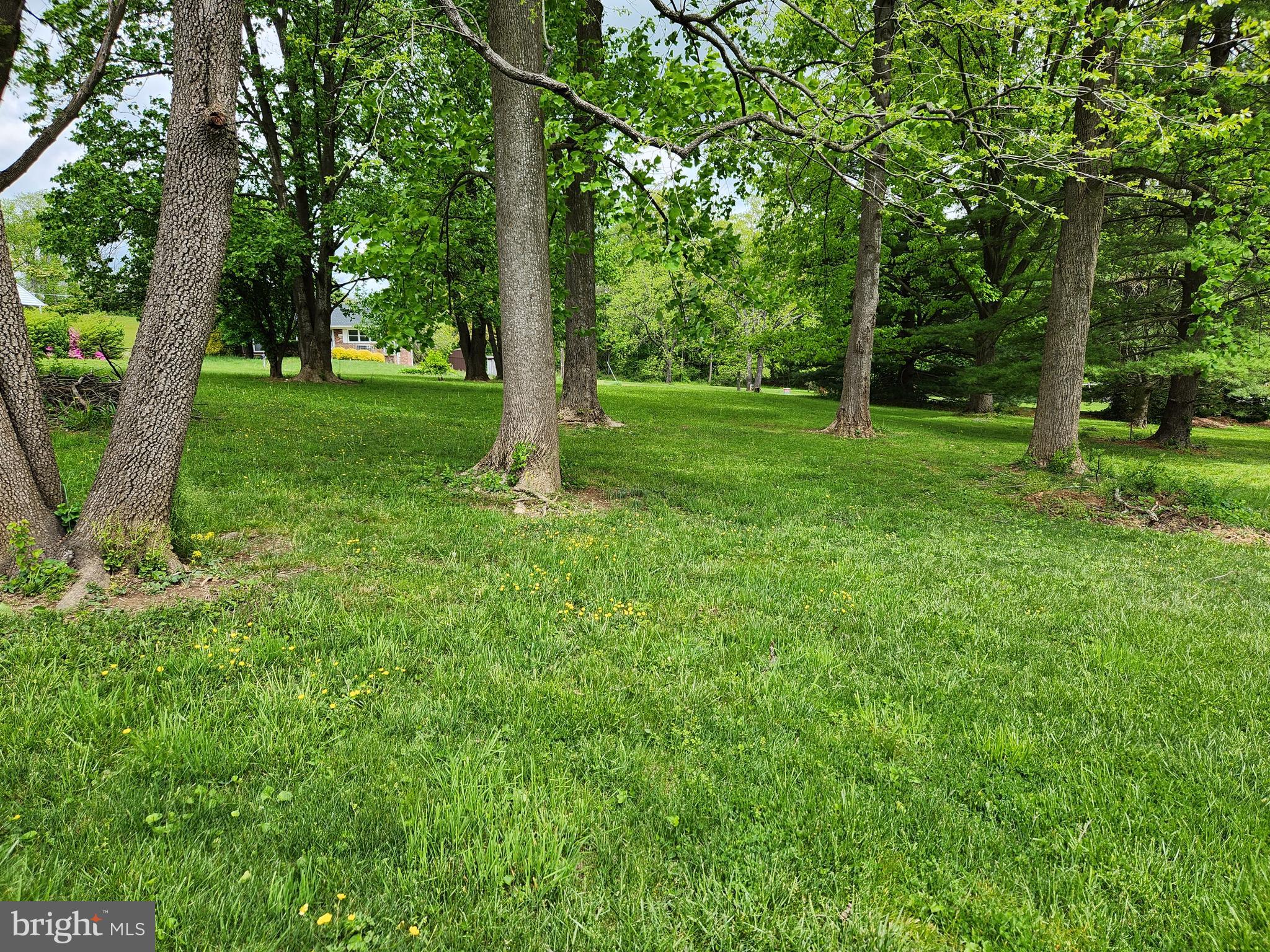 2015 Robertson Road Bel Air, MD 21015 - Photo 52 of 64 Stately, mature trees