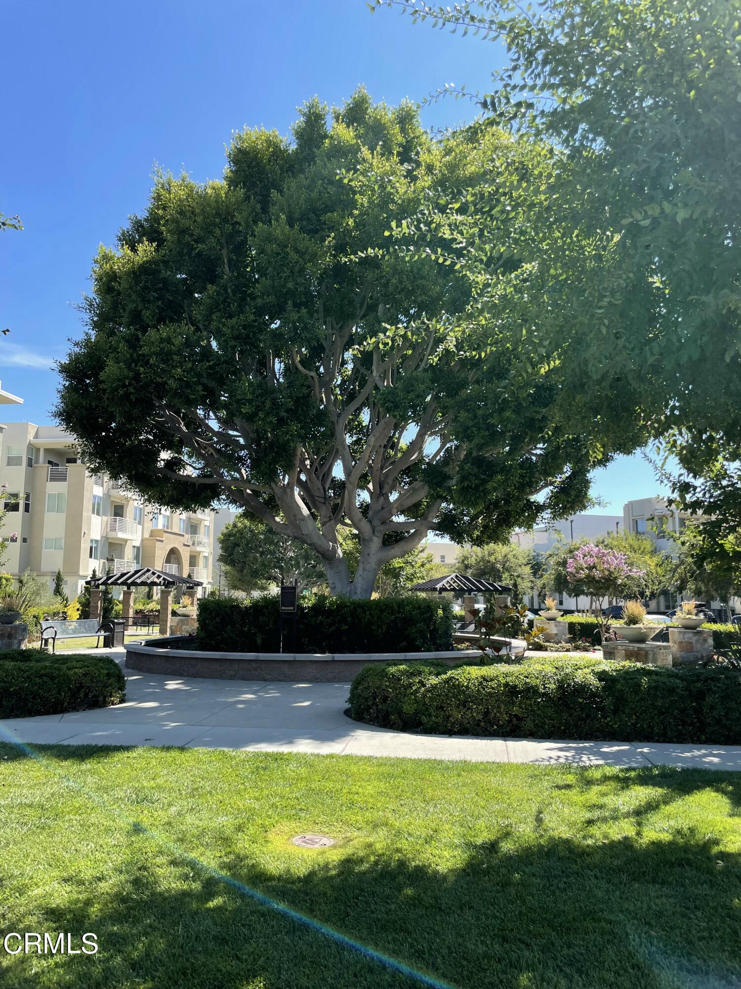 5524 Palm Drive Hawthorne, CA 90250 - Photo 23 of 46 a view of a swimming pool and outdoor seating
