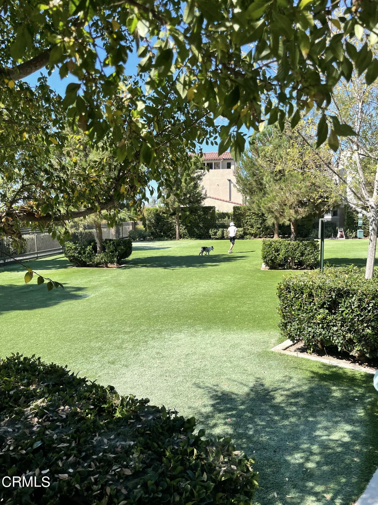 5524 Palm Drive Hawthorne, CA 90250 - Photo 31 of 46 a view of a golf course with a lake