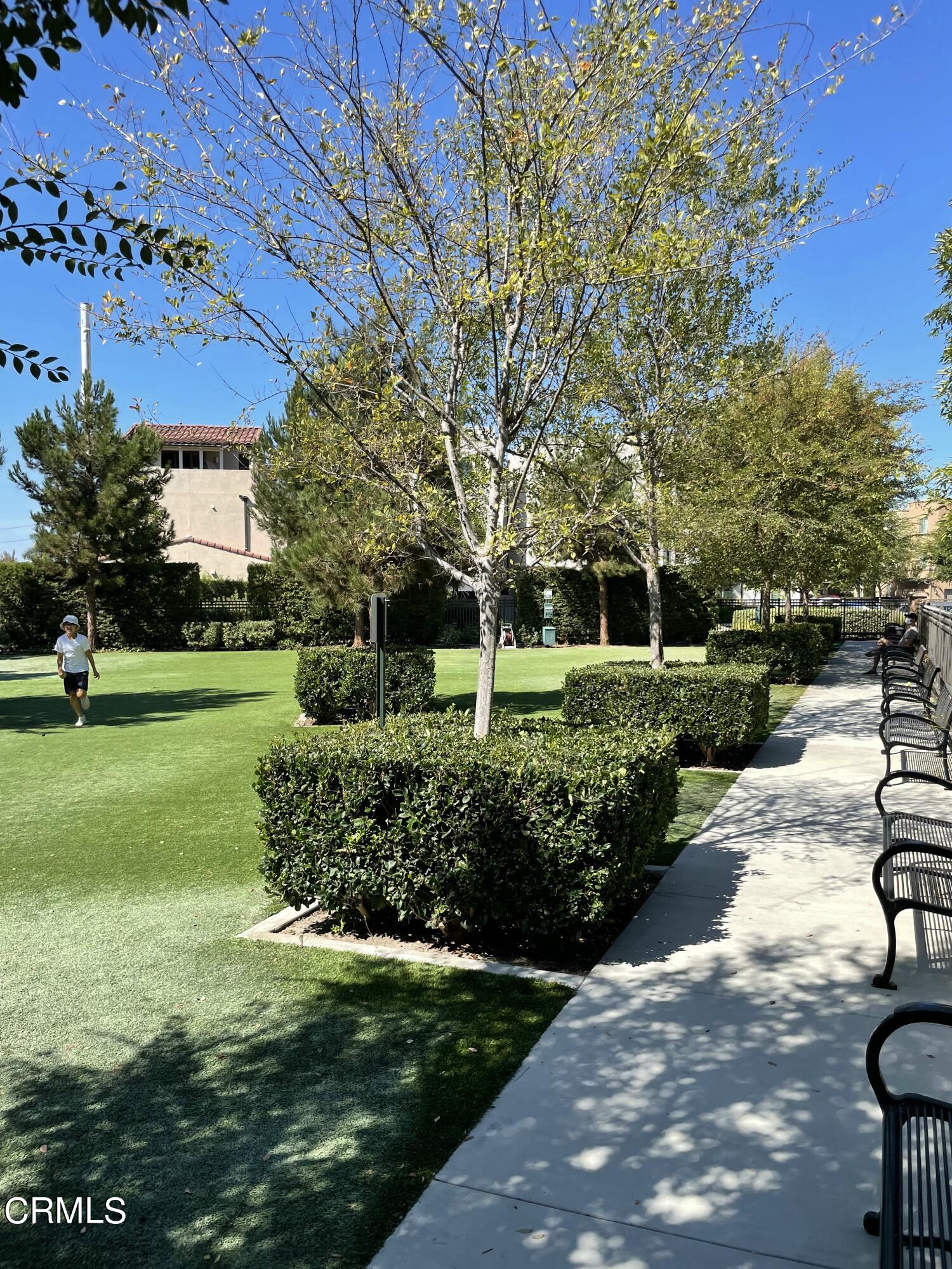 5524 Palm Drive Hawthorne, CA 90250 - Photo 32 of 46 a view of a park with large trees