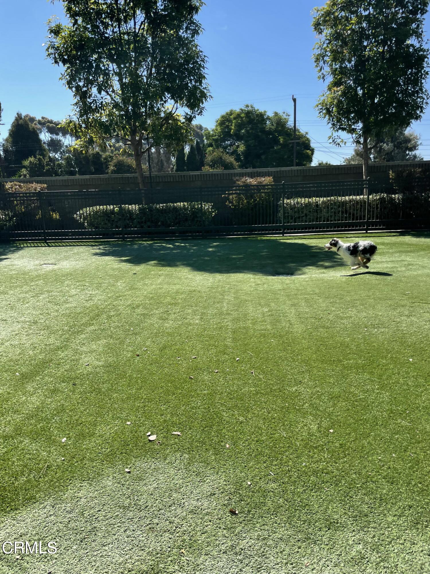 5524 Palm Drive Hawthorne, CA 90250 - Photo 33 of 46 a view of outdoor space