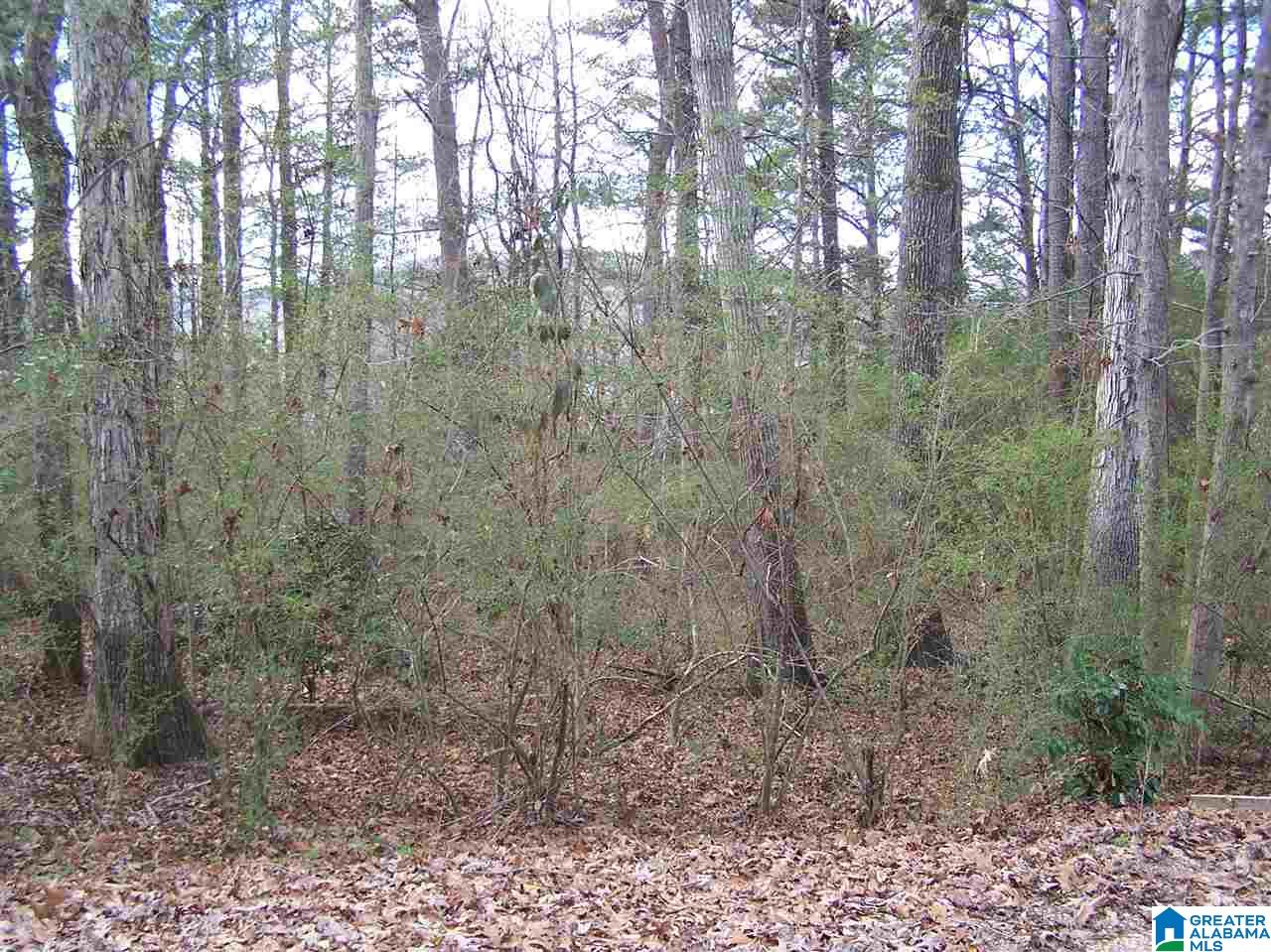 Virginia Street, Unit 6 & 7 Oneonta, AL 35121 - Photo 1 of 7