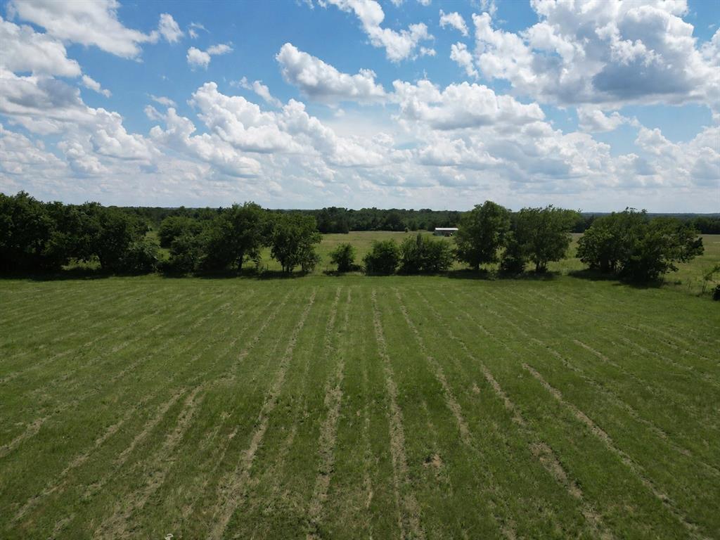 9999 Dugan Chapel Road Bells, TX 75414 - Photo 13 of 23
