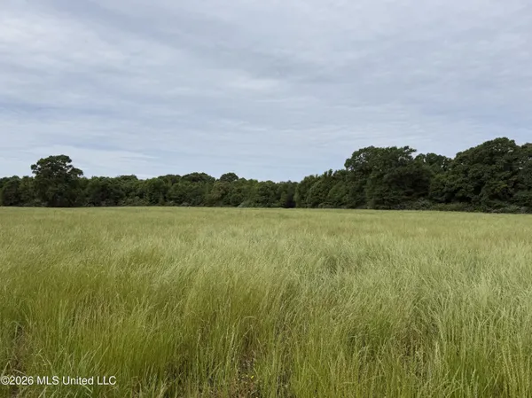 $495,000 | 813 Holmesville Road, Jayess, MS 39641